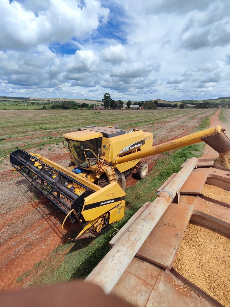 Colheitadeiras e colhedoras New Holland TC 59 2007